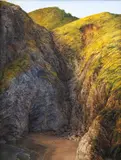 Peter Siddell, Untitled (Karekare), oil on board