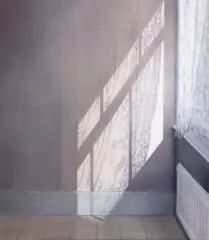 Emily Wolfe, Shadow II, oil on canvas, 2011