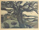 Stanley Palmer, Tree - North Manukau, bamboo engraving, 9/50