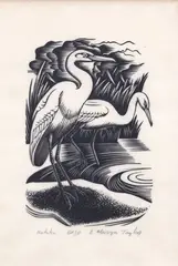Kotuku by Ernest Mervyn Taylor, woodblock engraving, ed. 30, sold May 2025
