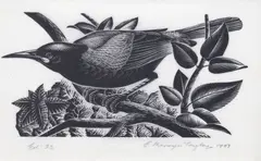Tieke (Saddleback) by Ernest Mervyn Taylor, woodblock engraving, ed. 22, sold May 2025