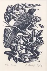 Tui by Ernest Mervyn Taylor, woodblock engraving, ed. 30, sold May 2025