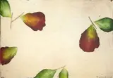 Antonio Murado, Untitled, oil on paper