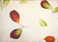 Antonio Murado, Untitled, oil on paper