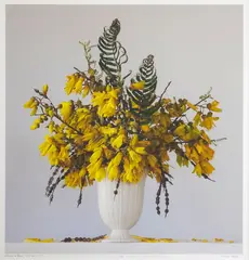 Emma Bass, Kowhai & Fern, type C print, 1/20