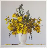 Emma Bass, Kowhai & Fern, type C print, 1/20