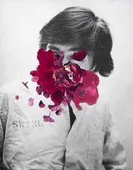 Peter Madden, Flower Head, photography and collage