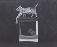 Kathryn McCool, Untitled, type C print