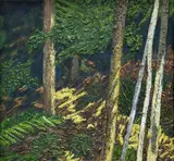 James Ross, Bush Study - Light, oil on canvas on board