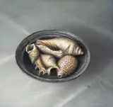 Neil Driver, Shells on Pewter Plate, acrylic on board