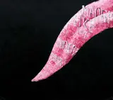 Jon Tootill, Live like a Māori, oil on canvas