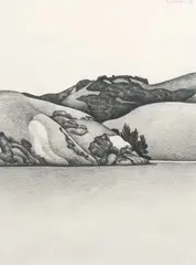Robin White, Otago Peninsula, graphite on paper