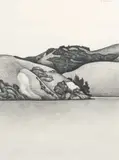 Robin White, Otago Peninsula, graphite on paper