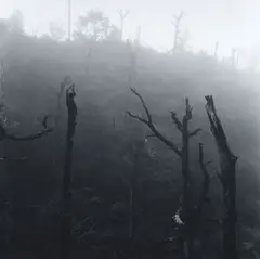 Ruapehu by Peter Peryer, gelatin silver print, sold Mar 2025