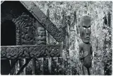 Peter Peryer, Whakarewarewa