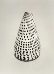 Conus by Peter Peryer, digital print, 3/6, offered Mar 2025