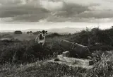 Marti Friedlander, Ruapekapeka, gold-toned vintage gelatin silver print (1970)