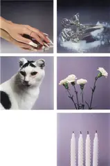 Yvonne Todd, The Menthol Series, LED print, five panels, 2/3