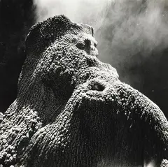 Theodorus Johannes Schoon, Study of a Thermal Stalactite, gelatin silver print printed from artist’s negative by John B. Turner