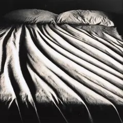 Anne Noble, Bed, gelatin silver print (1982)
