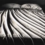 Anne Noble, Bed, gelatin silver print (1982)
