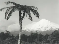 Mt Taranaki by Peter Peryer, gelatin silver print, 15/50, sold Mar 2025