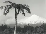 Peter Peryer, Mt Taranaki