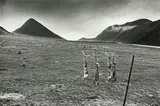 Len Wesney, Moke Lake (Rabbits), Otago, 1971, 1971, gelatin silver print