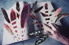 Megan Jenkinson, Philosophia: Trying to find the Reason in the Codex: Nature, cibachrome photograph with collage element