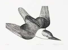Don Binney, Sofa Kotare, etching, APII/XXIV
