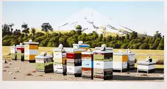 Michael Hight, Parihaka Rd, colour screenprint, A/P