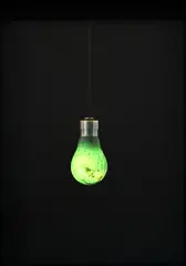 Joe Sheehan, Bulb, archival photographic print on 310gsm Ilford Galerie Smooth Cotton Rag, 5/50