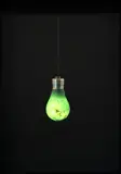 Joe Sheehan, Bulb