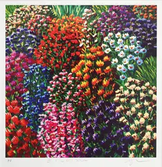 Karl Maughan, Be Still My Soul, screenprint on 300gsm Fabriano fine art paper, PP, edition 0f 12