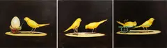 Joanna Braithwaite, Untitled from the series Feathered Feats, oil on canvas, triptych