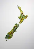 Jeffrey Thomson, Map of NZ, galvanized steel with acrylic paint
