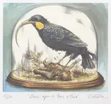 Anna Crichton, Once upon a time a Huia