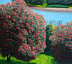 Matiatia Bay by Karl Maughan, oil on canvas, sold Nov 2024