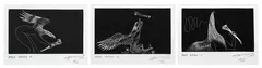 Bill Hammond, Bone Eagle A, B, C, suit of three etchings, 22/25