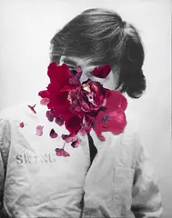 Peter Madden, Flower Head, photography and collage