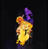 Richard Orjis, Gorse & Orchids, type C-Print, 3/9, 2007