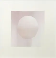 Nova (from The White House Years) by Ava Seymour, type C print, 1/3, sold Sep 2024