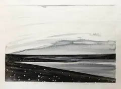 Marilynn Webb, Summer storm & wild flowers, Lake Mahinerangi, hand-coloured monoprint
