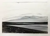 Marilynn Webb, Summer storm & wild flowers, Lake Mahinerangi, hand-coloured monoprint