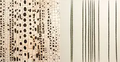 Elizabeth Thomson, Supposition Part A, Part B, pyrography on Meranti plywood and patinated bronze with oil paint over linen paper on panel, diptych