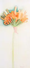 Rita Angus, Nerine, watercolour