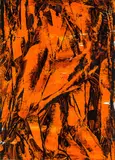Judy Millar, Untitled, acrylic on canvas