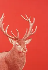 Hannah Jensen, Red Stag, 53 layers of carved acrylic on board