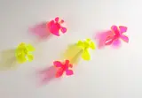 Judy Darragh, Laser Bloom, acrylic, 5 parts