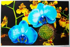 Marc Quinn, Under the Volcano, digital print with silkscreen glaze, 12/150